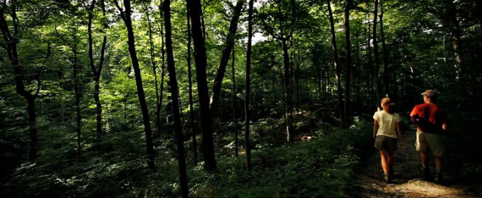 Five Rivers MetroParks protects the Environment